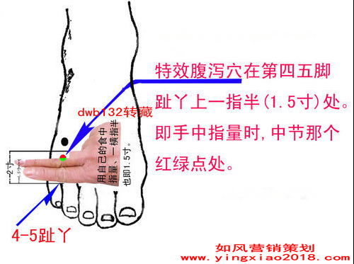 穴位图1.png