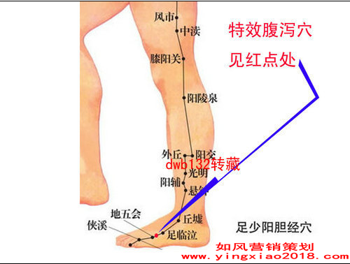 穴位图.png