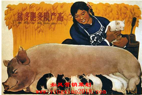 猪多肥多粮高产.png
